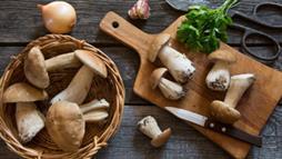 hongos comestibles