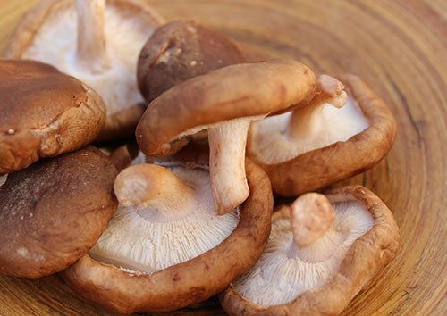 hongos comestibles