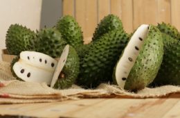 Soursop