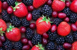fruits