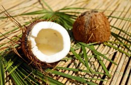 coconut milk