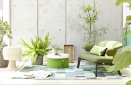 House-plants-GettyImages-663760057-58d93feb5f9b5846839a72c1