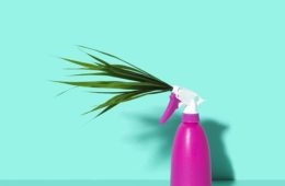 spring clean
